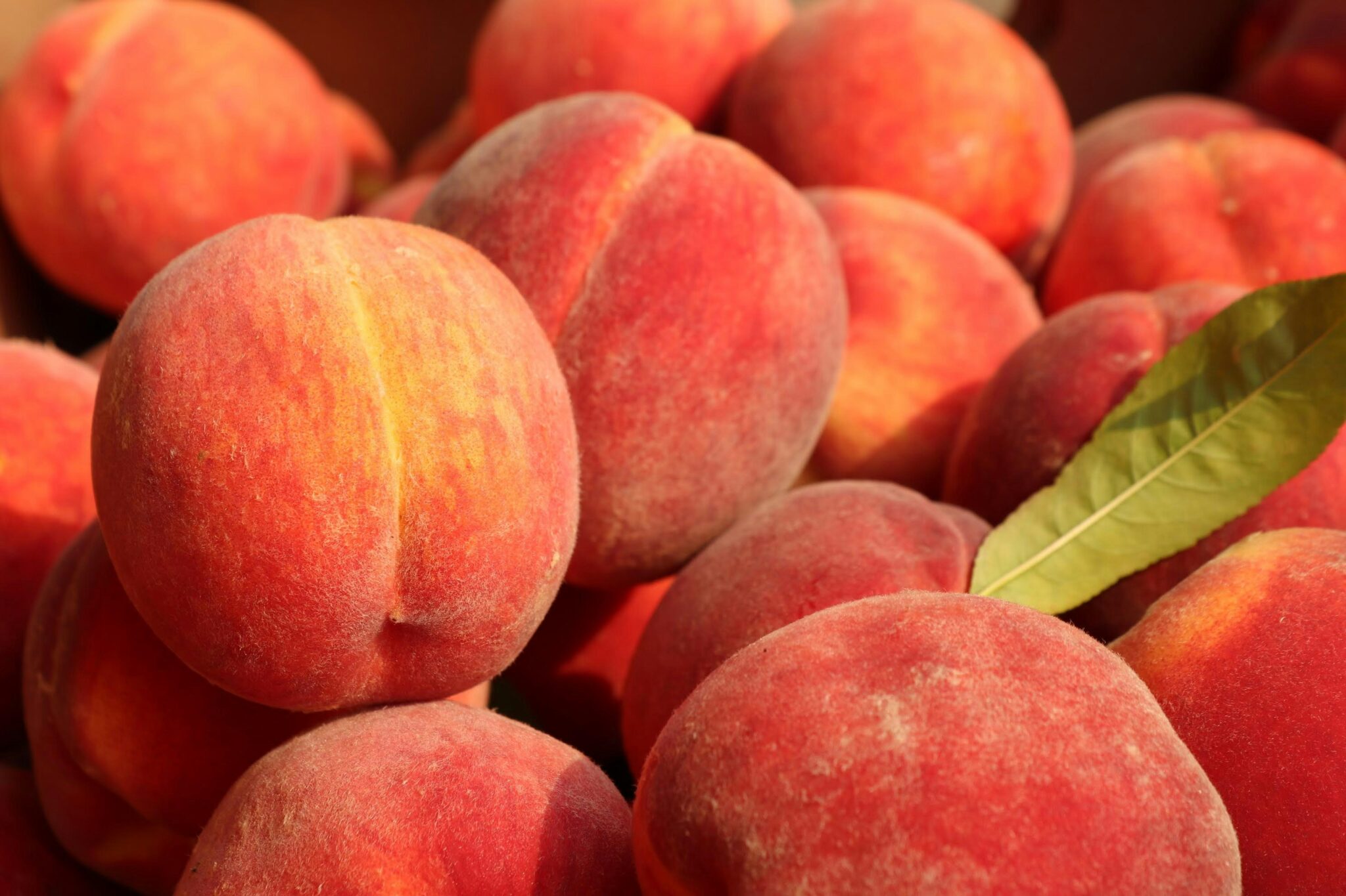 Vanilla Poached Peaches with Raspberries